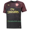 Fotballdrakt Arsenal Keeper Hjemmetrøye 2018-2019 Kortermet